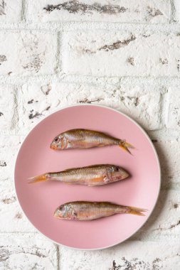 Pembe tabakta beyaz tuğlalı arka planda üç balık. Pembe tabakta balık kırmızı kefal. Karadeniz kızıl kefal balığı