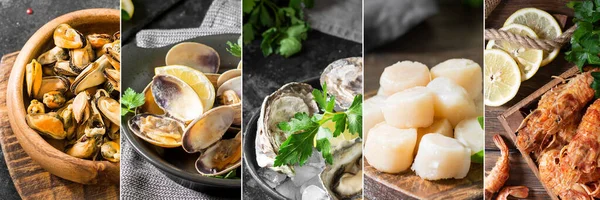 Food collage. Collage of different seafood. Collage of photos with scallops, mussels, oysters and prawns. Banner