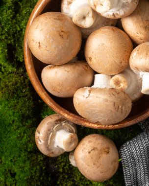 Yosun masasında ahşap bir kasede mantar. Yosun ormanının arka planında bir kasedeki mantarlar. Yukarıdan görünüşü