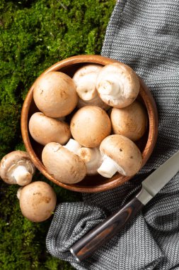 Yosun masasında ahşap bir kasede mantar. Yosun ormanının arka planında bir kasedeki mantarlar. Yukarıdan görünüşü
