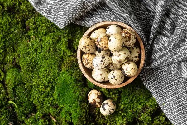 Œufs Caille Dans Bol Bois Sur Fond Mousse Sur Mousse — Photo