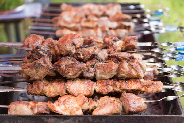 Carne Apetitosa Barbacoa —  Fotos de Stock