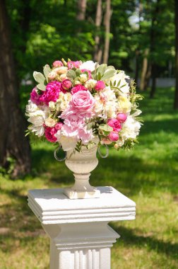 Bahçedeki güzel güller 