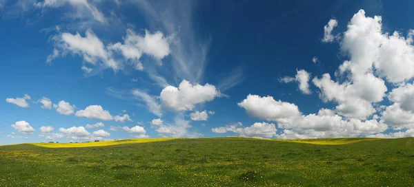 Bloeiende weide panorama — Stockfoto