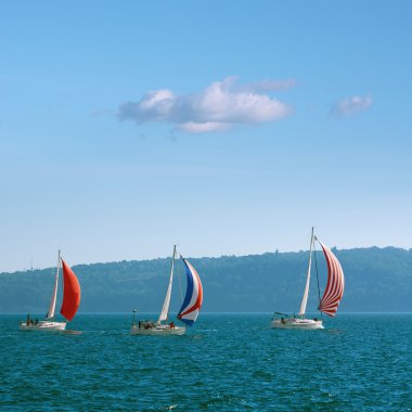 Karadeniz pro-Am yarışta