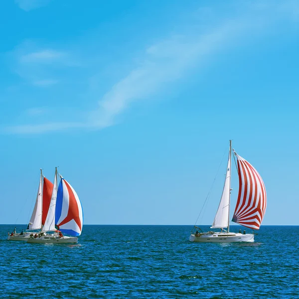 Pro-Am Race in the Black Sea — Stock Photo, Image