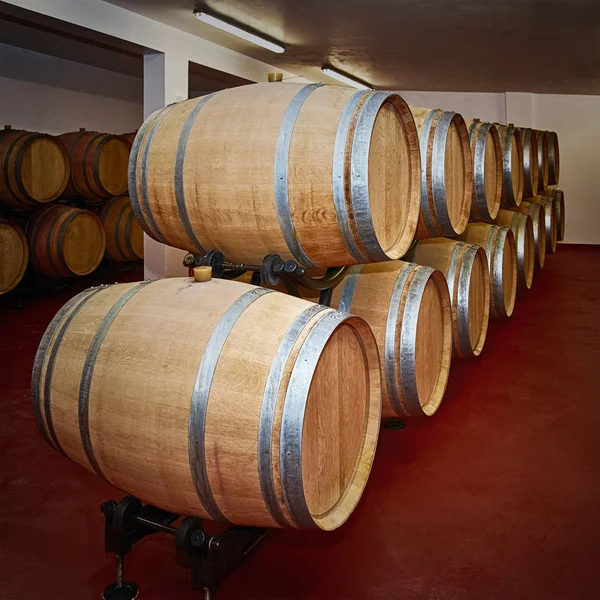 Barrels with Wine — Stock Photo, Image