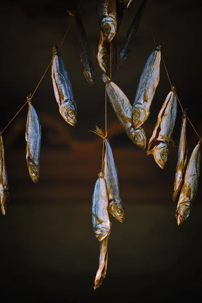 Sušené ryby visí na laně — Stock fotografie