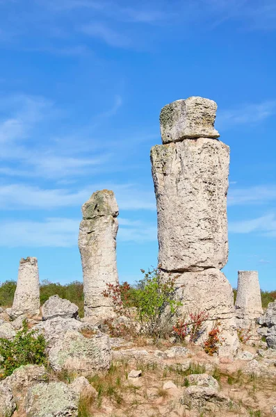 A kő-sivatagban — Stock Fotó