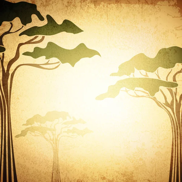 非洲抽象的相思树背景 — 图库矢量图片