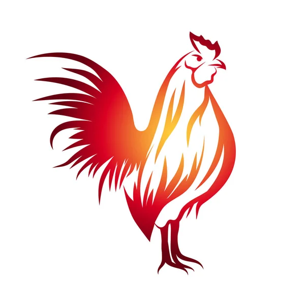 Illustrazione gallo rosso — Vettoriale Stock