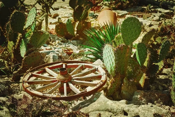 Wooden Wagon Wheel — Stock Photo, Image