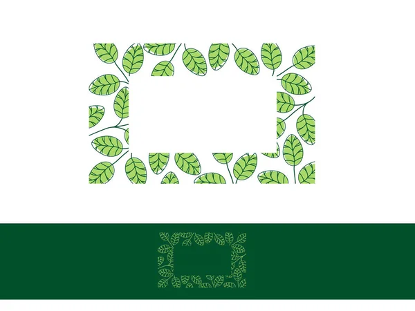 Cadre de feuille de Moringa — Image vectorielle