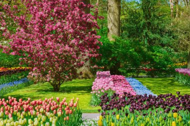 Bahar bahçe