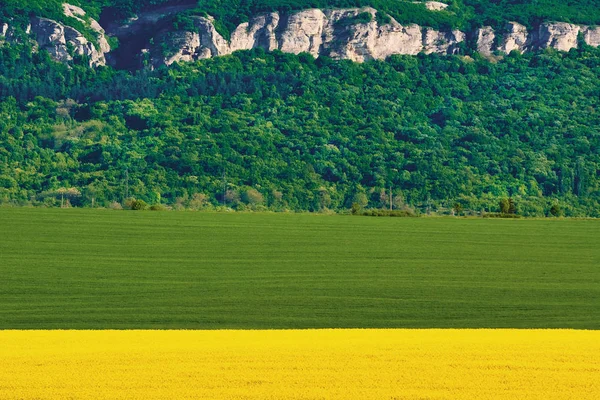 Gersten- und Rapsfelder — Stockfoto