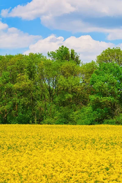 Erkältungsgebiet — Stockfoto