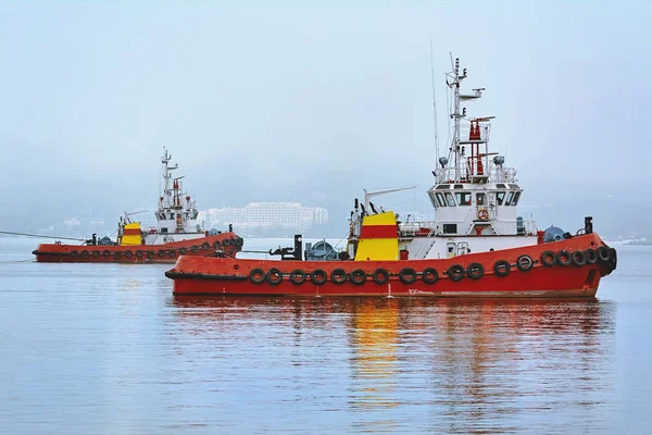 Schlepper im Hafenaquarium — Stockfoto