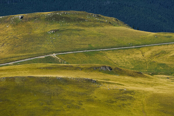 Road in the Bucegi Mountains