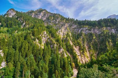 Hohenschwangau engebeli Hill'de