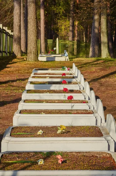 Graves of Soviet Soldiers — Stock Photo, Image