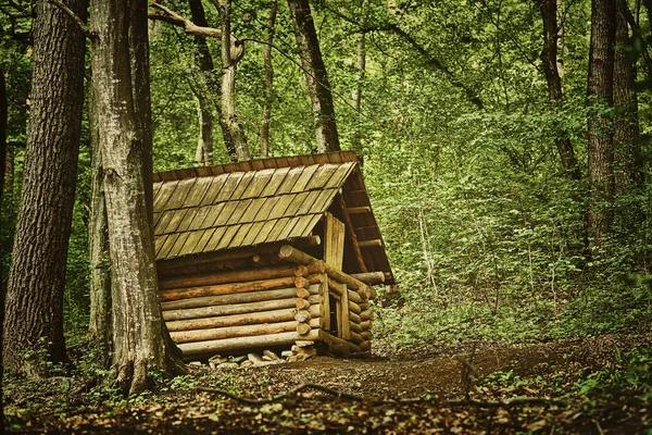 Mała szopa w lesie — Zdjęcie stockowe