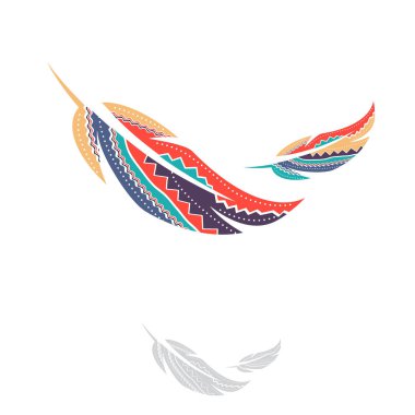 Çok renkli süs tüyleri