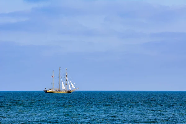 Бараліне в морі — стокове фото
