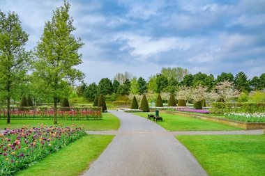 Parkta ilkbahar. Lisse, Hollanda..