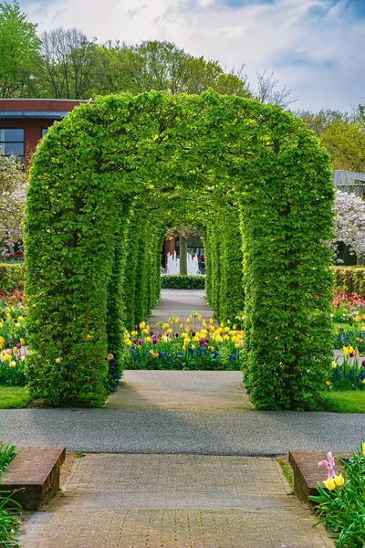 Lente Het Park Lisse Nederland — Stockfoto