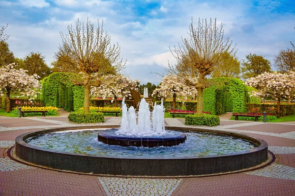 Wiosna Parku Lisse Holandia — Zdjęcie stockowe