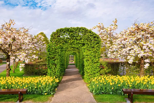 公園の春 リスト オランダ — ストック写真