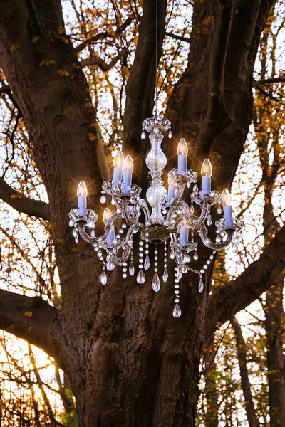 荷兰森林里的水晶吊灯 Lisse — 图库照片