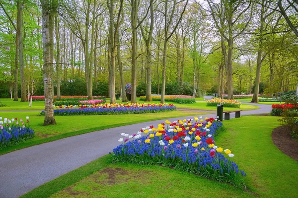 Lente Het Park Lisse Nederland — Stockfoto