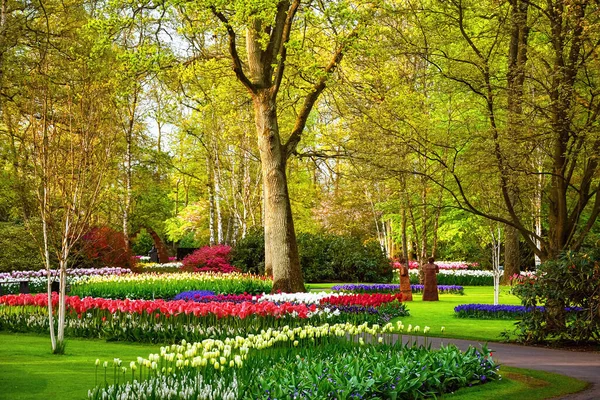 Primavera Parque Lisse Países Bajos — Foto de Stock