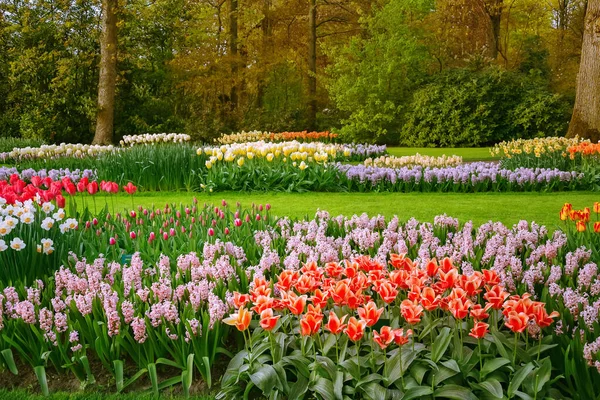 Primavera Parque Lisse Países Baixos — Fotografia de Stock
