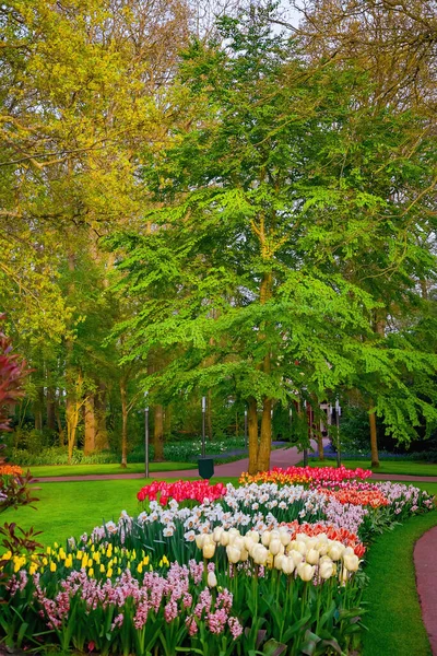 Spring Park Lisse Netherlands — Stock Photo, Image