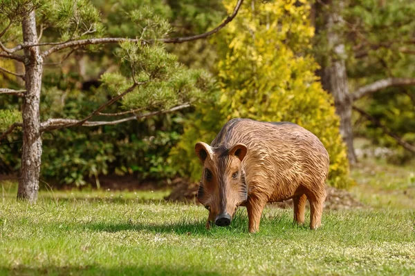 Vildsvin Träskulptur Skogen — Stockfoto