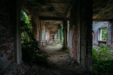 Harap olmuş konak koridoru bitkilerle kaplanmış. Doğa ve terk edilmiş mimari, yeşil kıyamet sonrası konsept