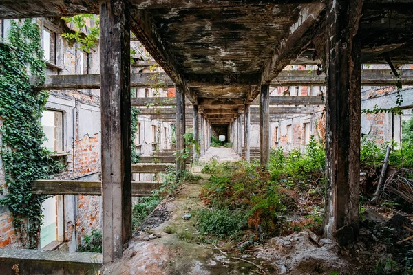 Interior de corredor de mansão arruinado coberto por plantas. Natureza e arquitetura abandonada, verde conceito pós-apocalíptico — Fotografia de Stock