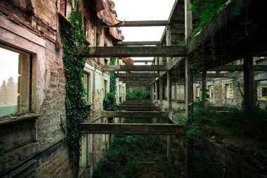 Inside ruined building overgrown by plants. Nature and abandoned architecture, green post-apocalyptic concept clipart