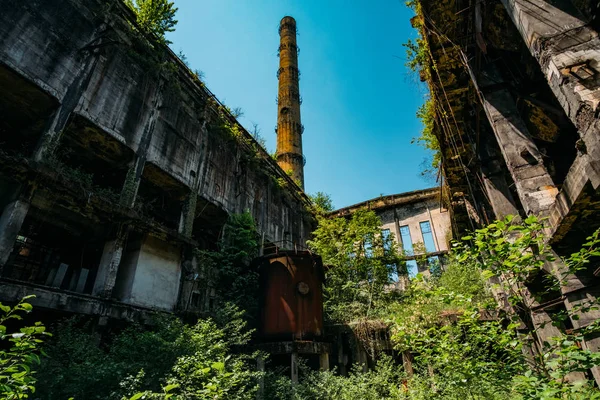 Überwucherte Industrieruinen. Verlassen, zerstört durch ein Kriegskraftwerk in Tkvarcheli Tquarhcal, Abchasien, Georgien — Stockfoto