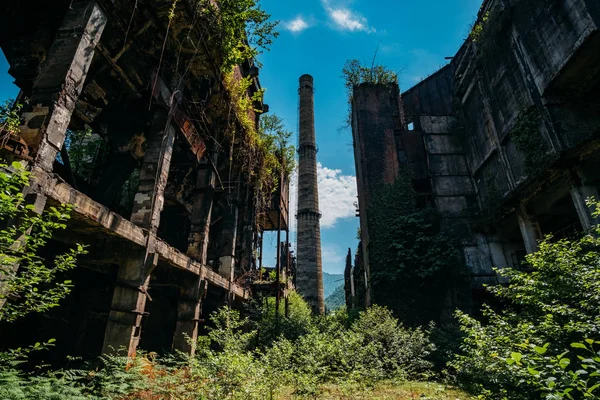 Overgrown ruins of industrial building. Abandoned, destroyed by war power plant in Tkvarcheli Tquarhcal, Abkhazia, Georgia — Stock Photo, Image