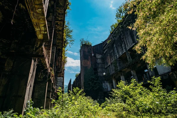 Overgrown ruins of industrial building. Abandoned, destroyed by war power plant in Tkvarcheli Tquarhcal, Abkhazia, Georgia — Stock Photo, Image