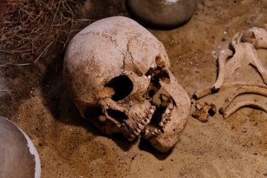 Arkeolojik alan, antik mezardaki eski bir insan kafatası.