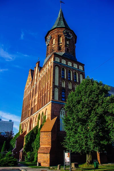 Obnovená katedrála na ostrově Kant, symbol města Kaliningrad a hlavní místo zájmu turistů — Stock fotografie