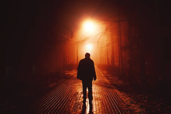 Triste hombre solo caminando por el callejón en el parque de niebla nocturna. Vista trasera — Foto de Stock