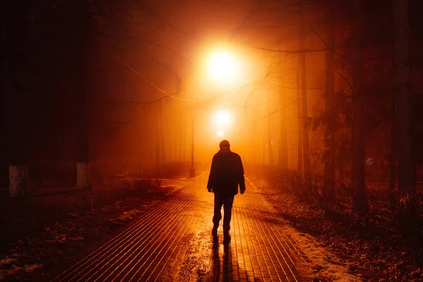 Triste homem sozinho andando ao longo do beco no parque nebuloso da noite. Visão traseira — Fotografia de Stock