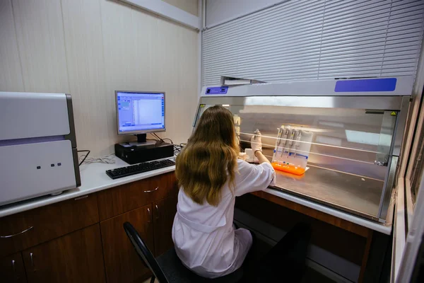 Επιστήμονας εργάζεται σε laminar κουτί. Βάζει δείγματα από θραύσματα DNA για ηλεκτροφόρηση. — Φωτογραφία Αρχείου