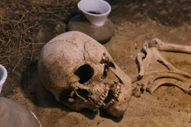 Archaeological site, an old human skull in ancient tomb