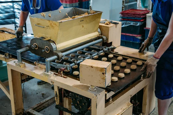 Maszyna do formowania ciasteczek roboczych w fabryce wyrobów cukierniczych — Zdjęcie stockowe
